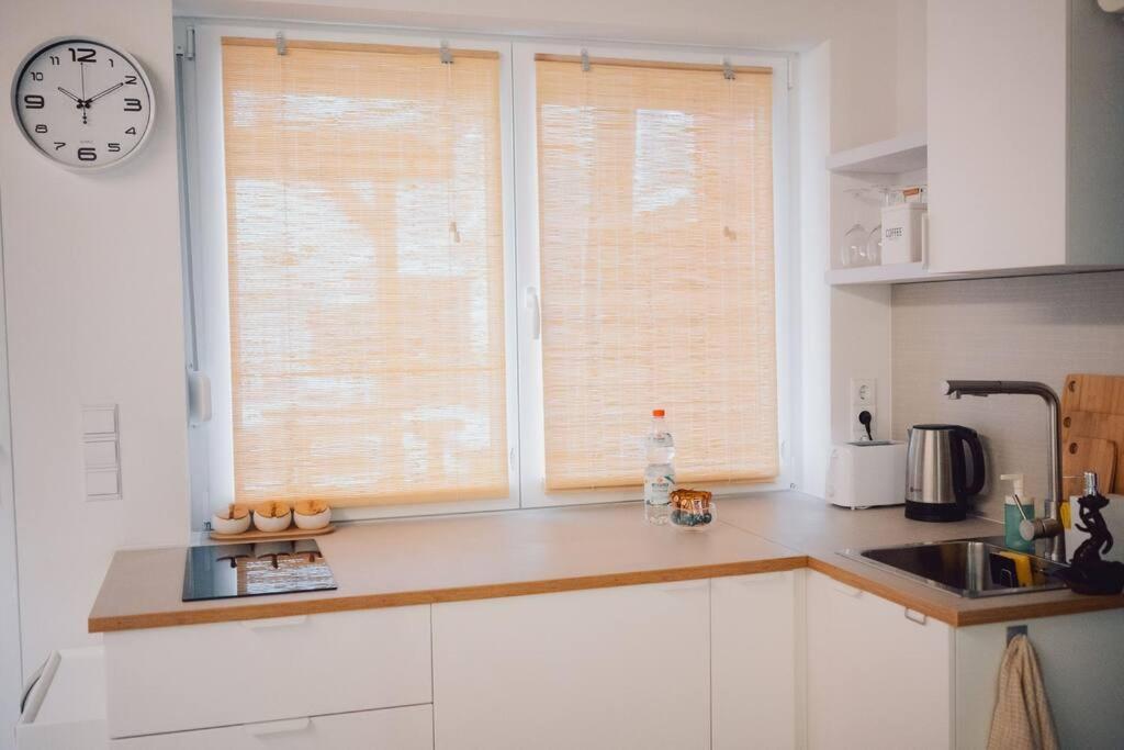 Suite 13 Loft Mit Terrasse Teublitz Eksteriør billede